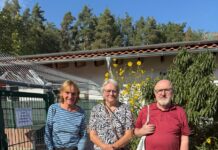 11 Jahre “Sonnenschein” in unserer Familie