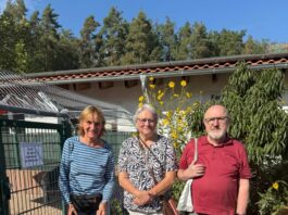 11 Jahre “Sonnenschein” in unserer Familie