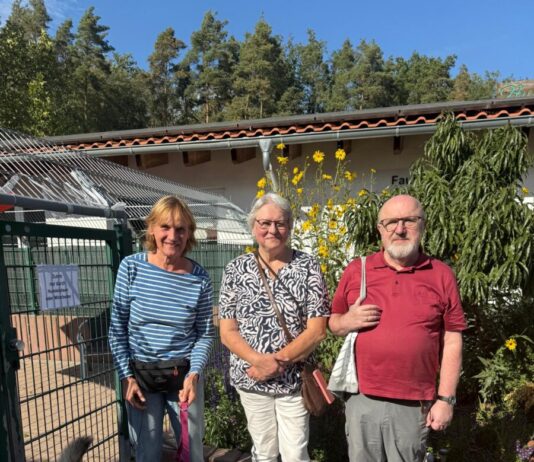 11 Jahre “Sonnenschein” in unserer Familie