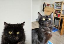 Dori & Bagira – zwei Mädels suchen ihr Glück!