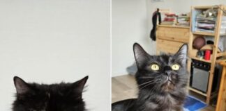 Dori & Bagira – zwei Mädels suchen ihr Glück!