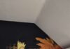 Spendenübergabe für Hand in Hand