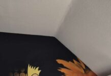 Spendenübergabe für Hand in Hand