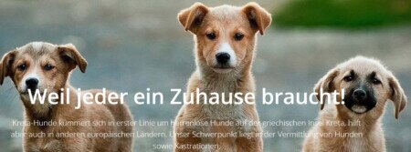 KretaHunde